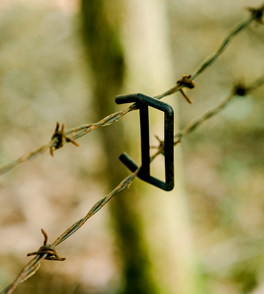 Wire-Ups shown holding two strands of barbed wire together